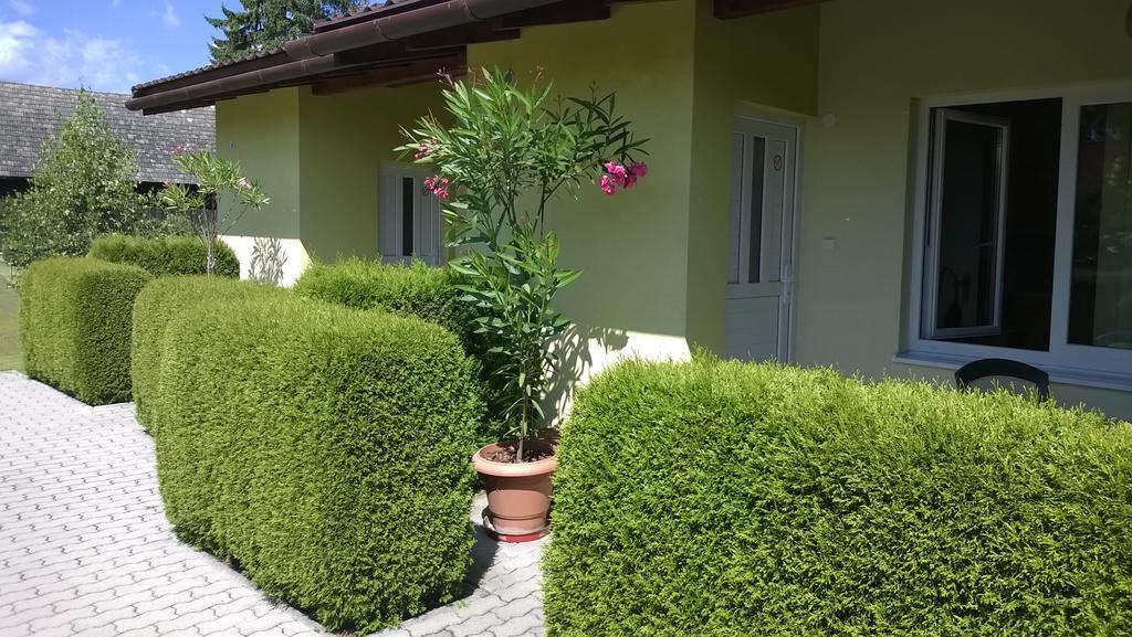 Privat No 13 Leilighet Liptovský Mikuláš Rom bilde